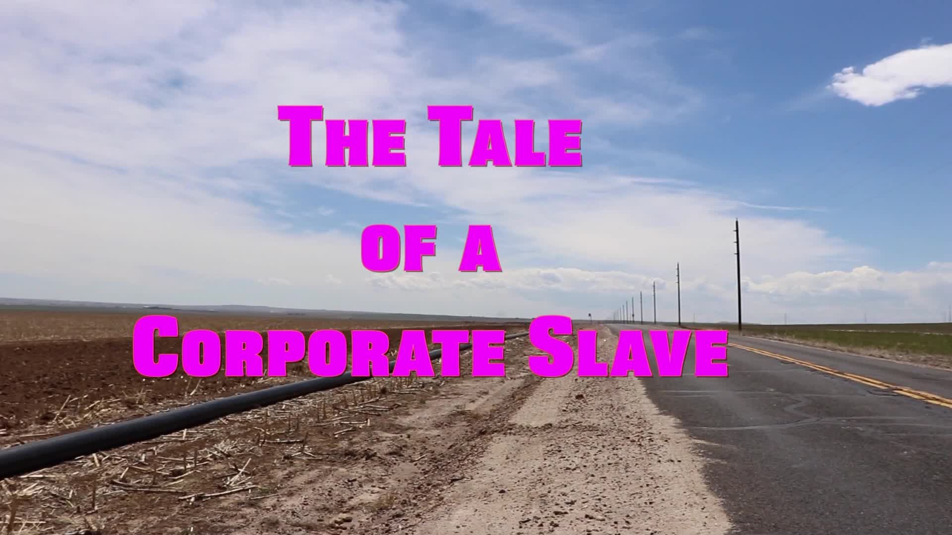 THE TALE OF A CORPORATE SLAVE