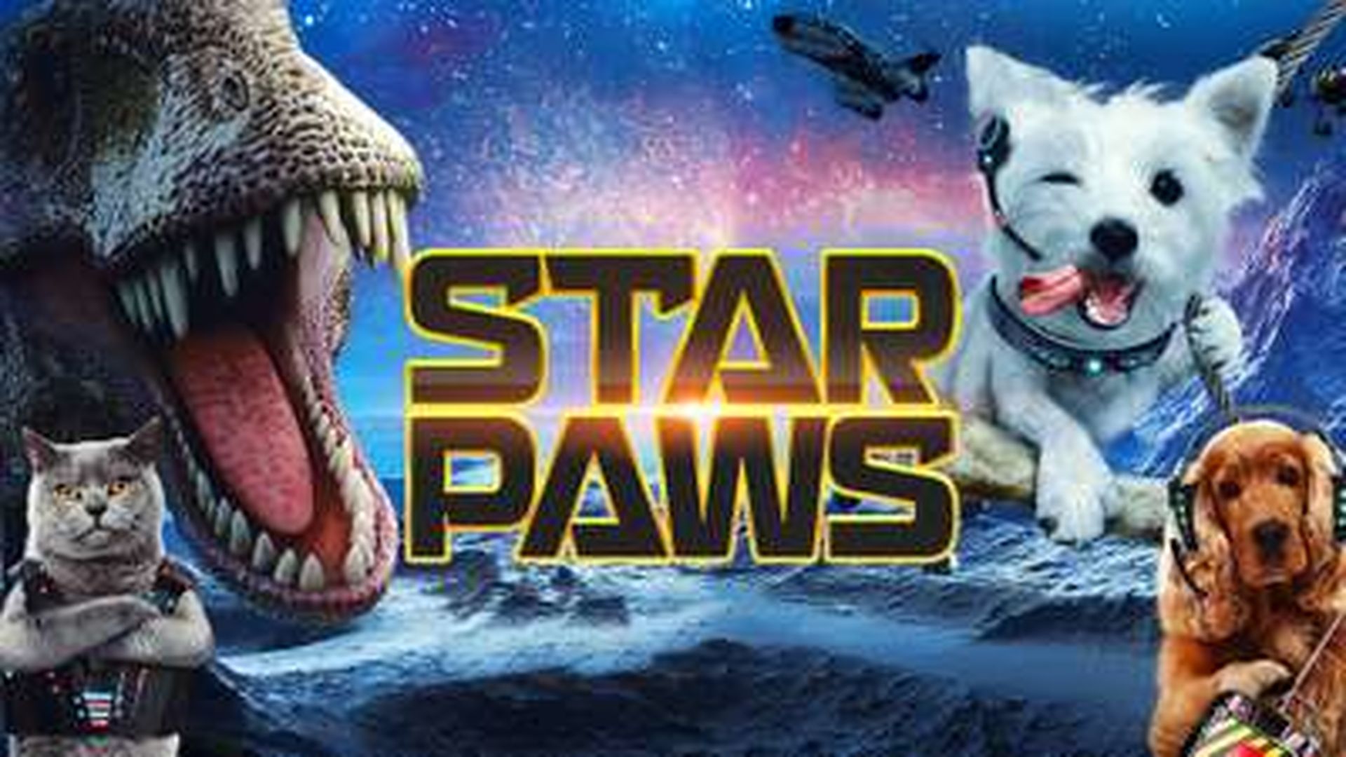 Star Paws