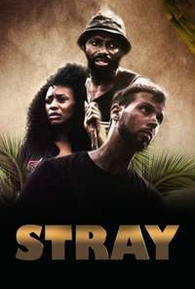 STRAY