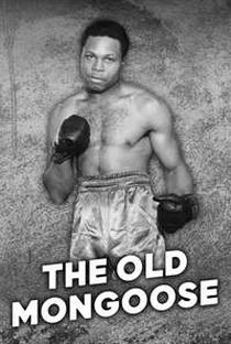 THE OLD MONGOOSE