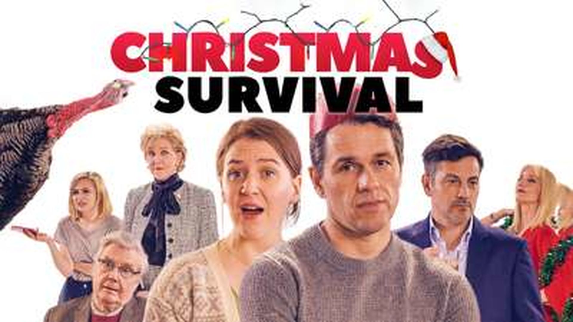 CHRISTMAS SURVIVAL