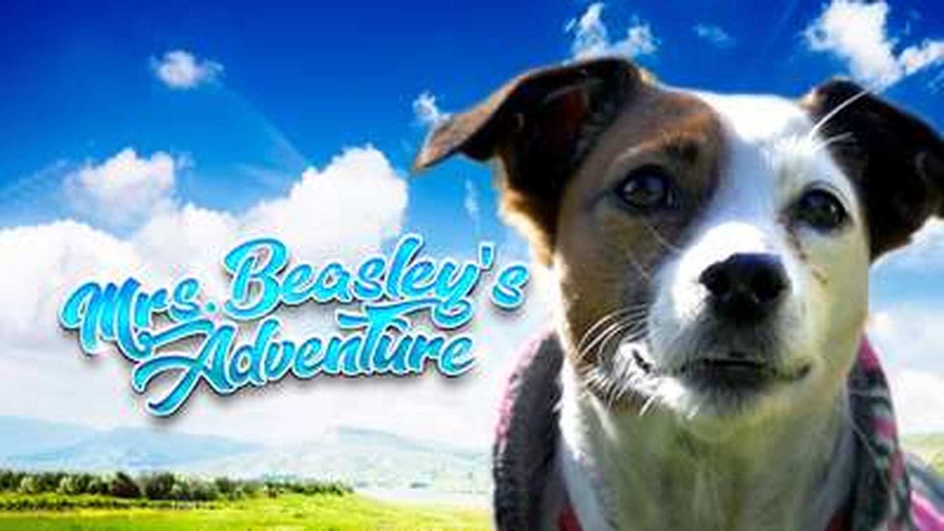 Mrs. Beasley's Adventure
