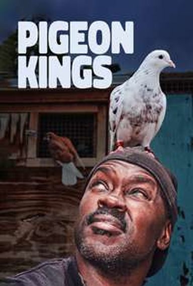 PIGEON KINGS