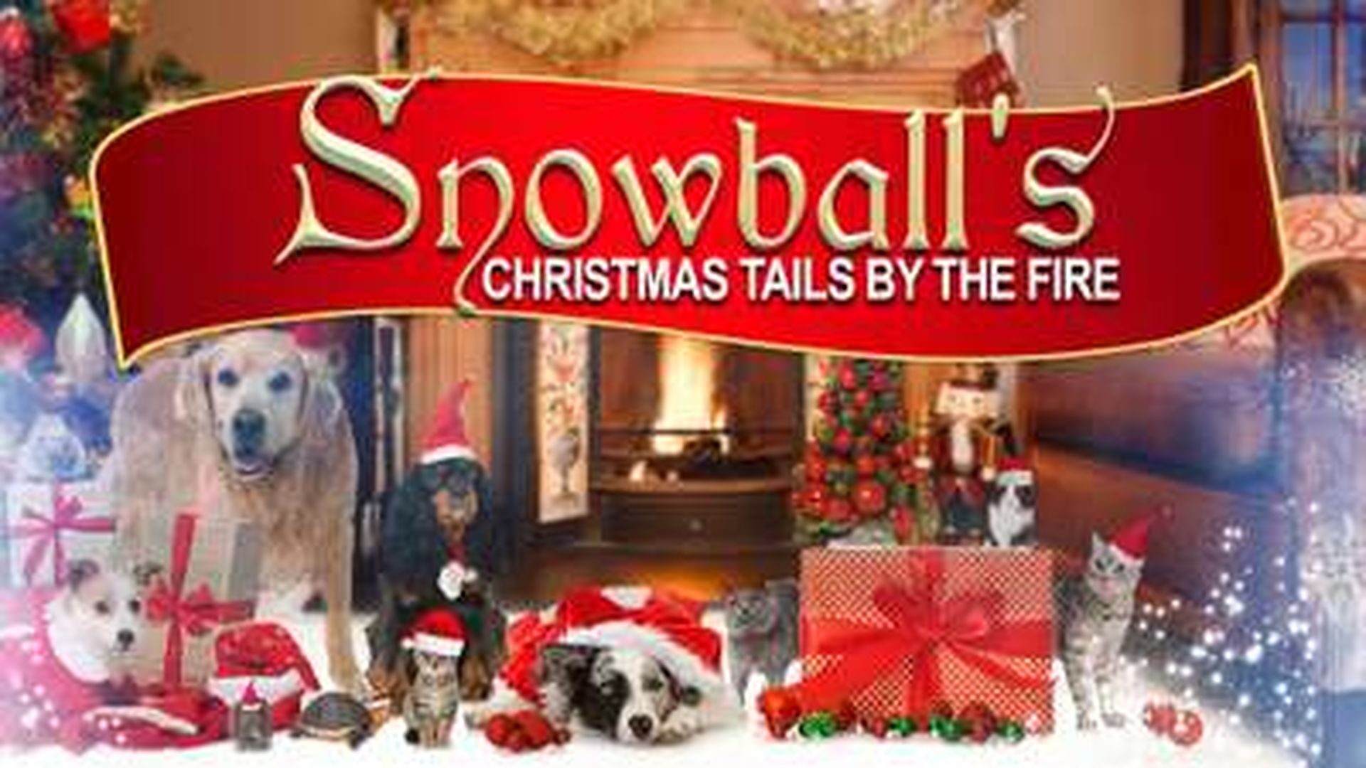 SNOWBALL'S CHRISTMAS TAILS BY THE FIRE