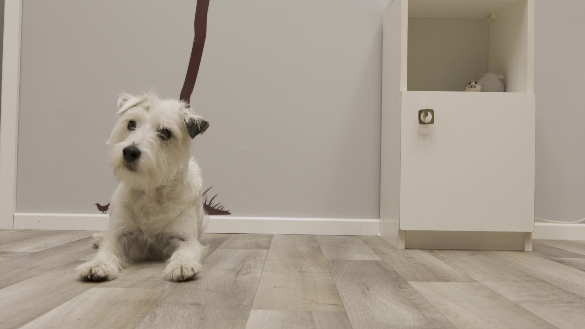Dog Years EP3