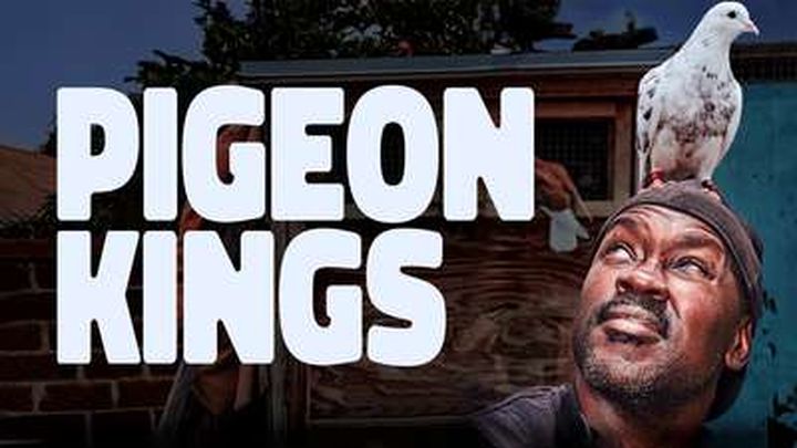 PIGEON KINGS